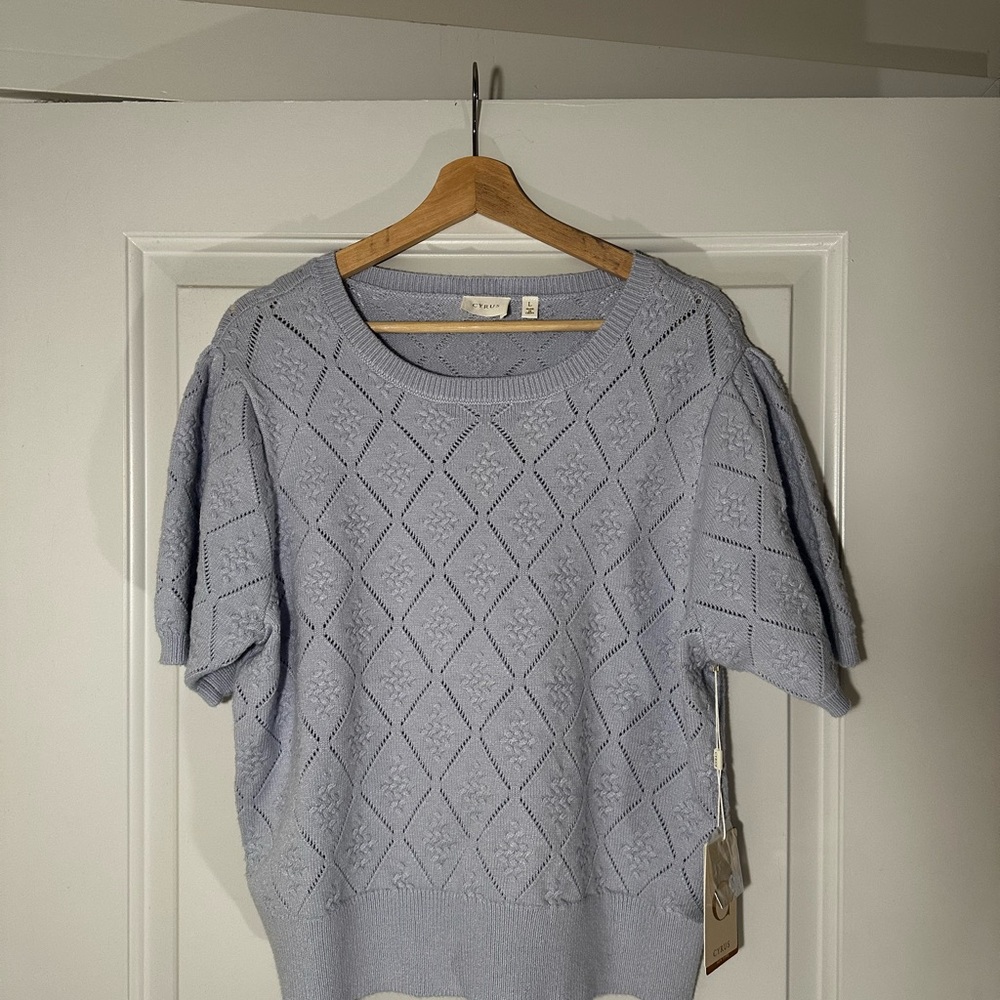 Cyrus Women's Soft Blue Crew Neck Sweater